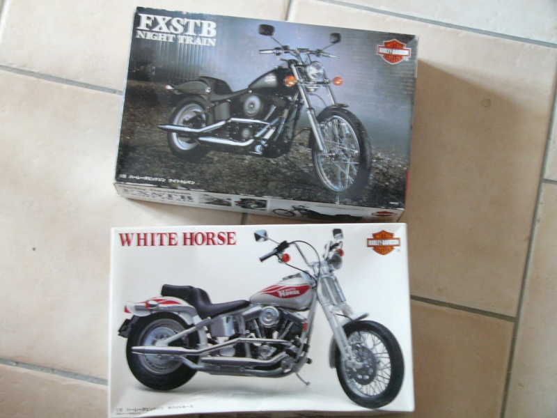 les kits Harleys P1080926