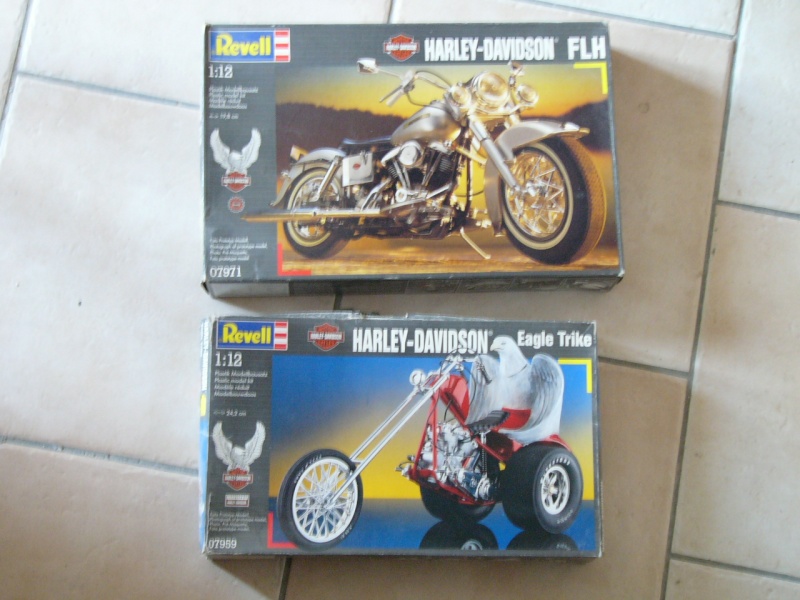 les kits Harleys P1080933