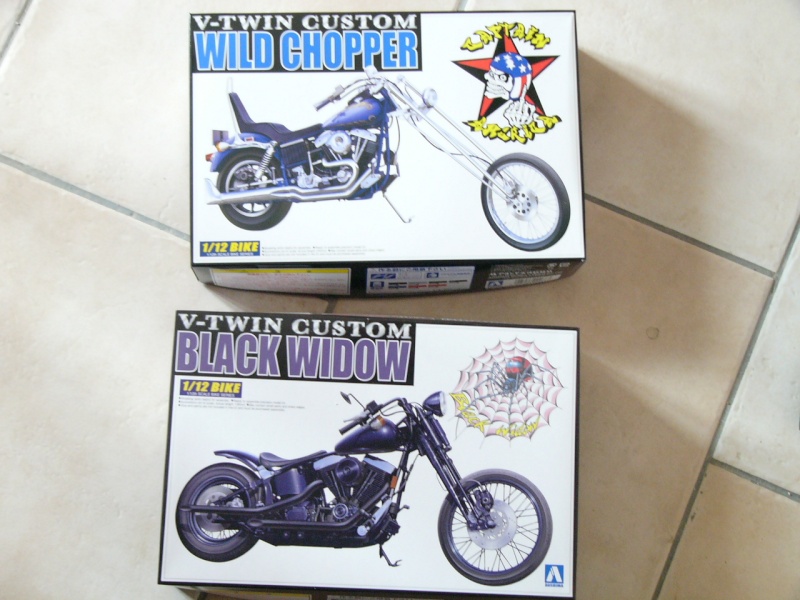 les kits Harleys P1080939