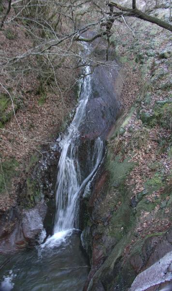 Promenade le long du Ninglinspo - Page 2 Pict0027