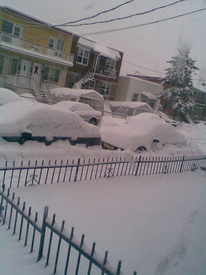 Photos après la tempête de neige Image010