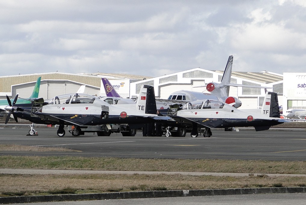 Maroc Air Force T6A TEXAN II Te_tf10