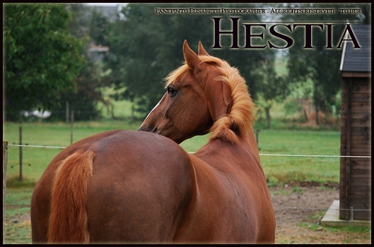 HESTIA  ( Tyler Williams ). Hestia10