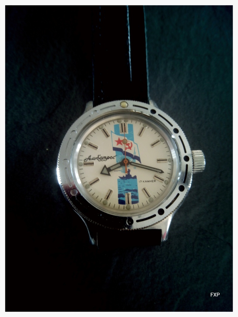 Vostok ALBATROS - Page 2 Img_2019