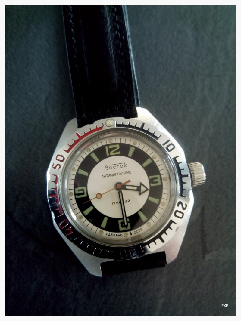 Vostok ALBATROS - Page 2 Img_2020