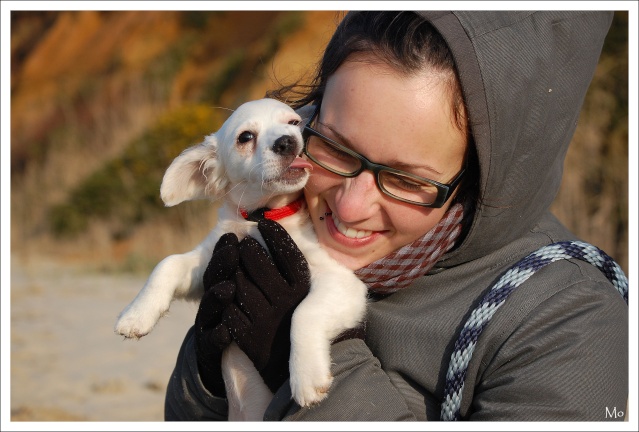 Sur la plage avec 10 chiens 3910