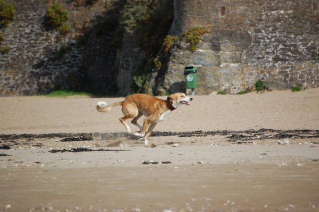 Ballade en famille Dsc_7217