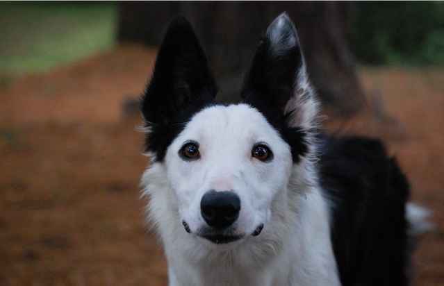 Concours Photo - Quel regard! - Date limite le 21 février  - Page 4 Ewe10