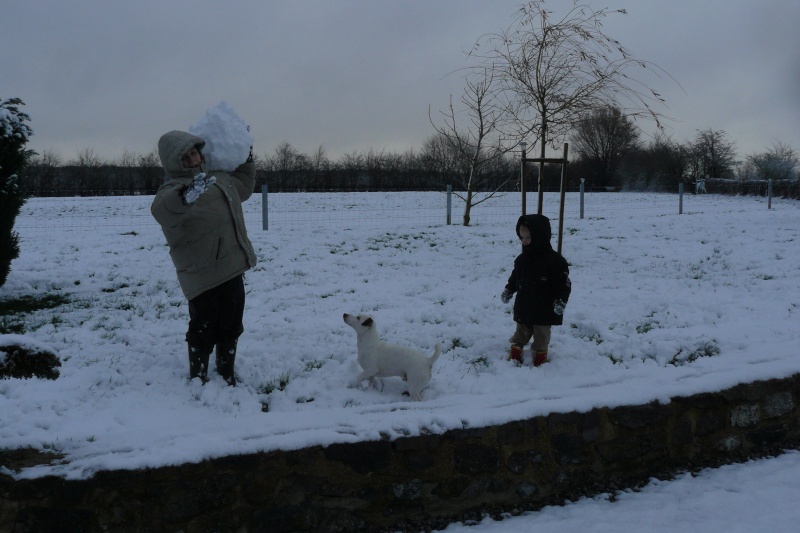 la neige est arrivée donc fait une petite balade P1060723