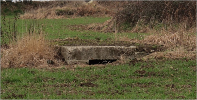 bunkers Captur18