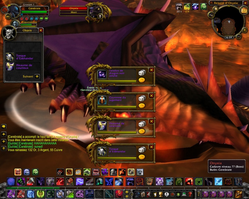 mon solotage d'onyxia Wowscr29