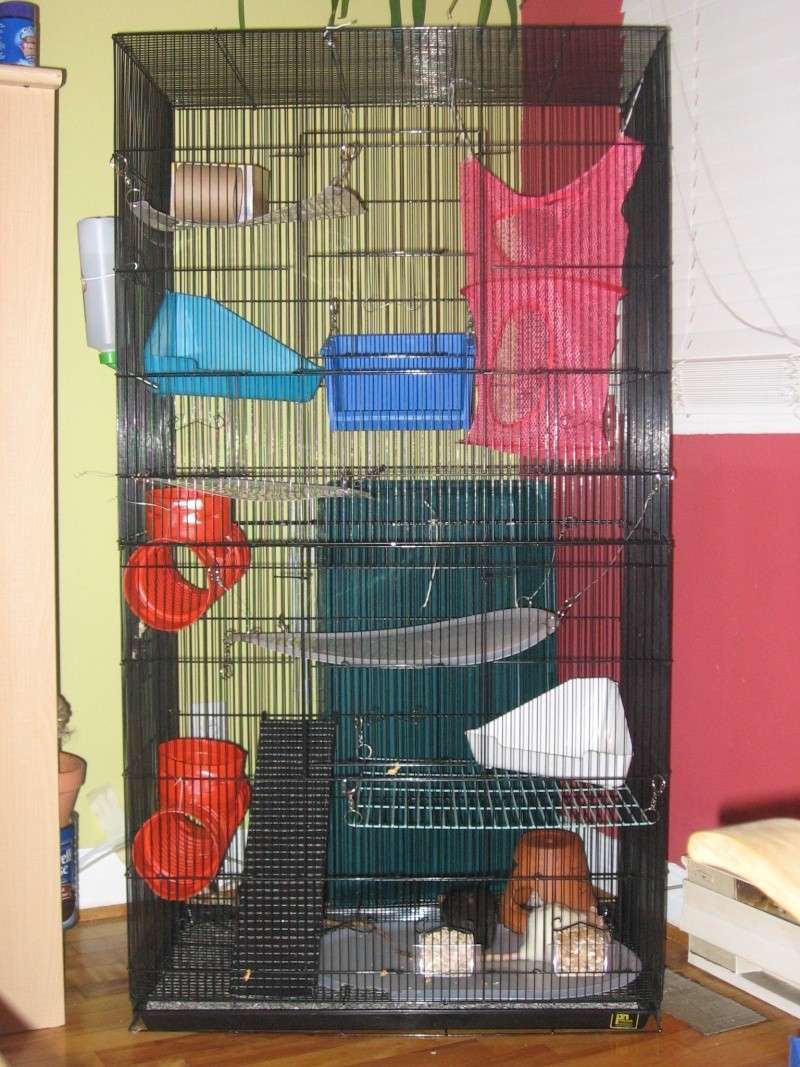 Voici ma nouvelle cage ! Img_3215