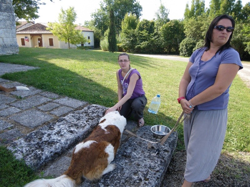 [résolu]DANKA saint Bernard femelle 5 ans poils longs - en FA chez CHrystèle (33) - Page 3 Imgp2411