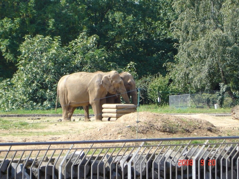 le parc de la tête d'or Dsc06910