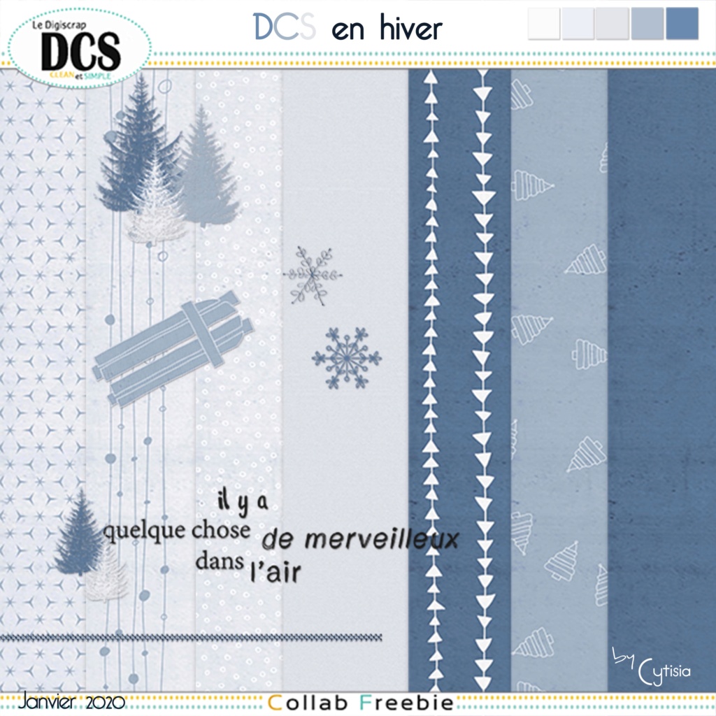 DCS en hiver - Page 2 Pv_hiv10