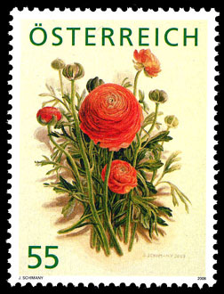 Heimische Blumen At278710