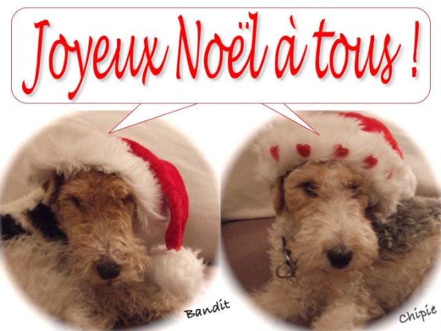 Meilleurs voeux 2009 Noel2010