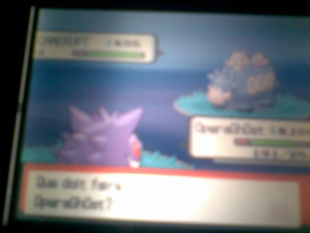 SHawki/Death's shinys (les deux sont mes pseudos %) 21638410