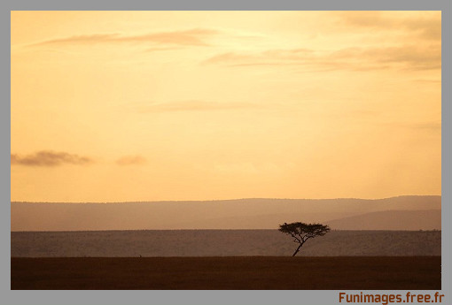 Merveilles de la nature. - Page 18 Funima44