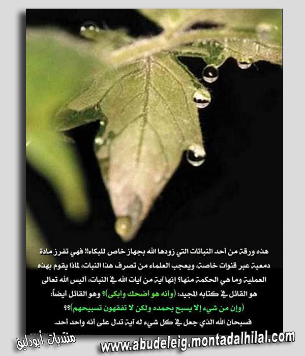 الإعجاز العلمي في القرآن الكريم Zzi3ja12