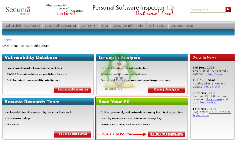 Secunia Inspector Online Secuni10