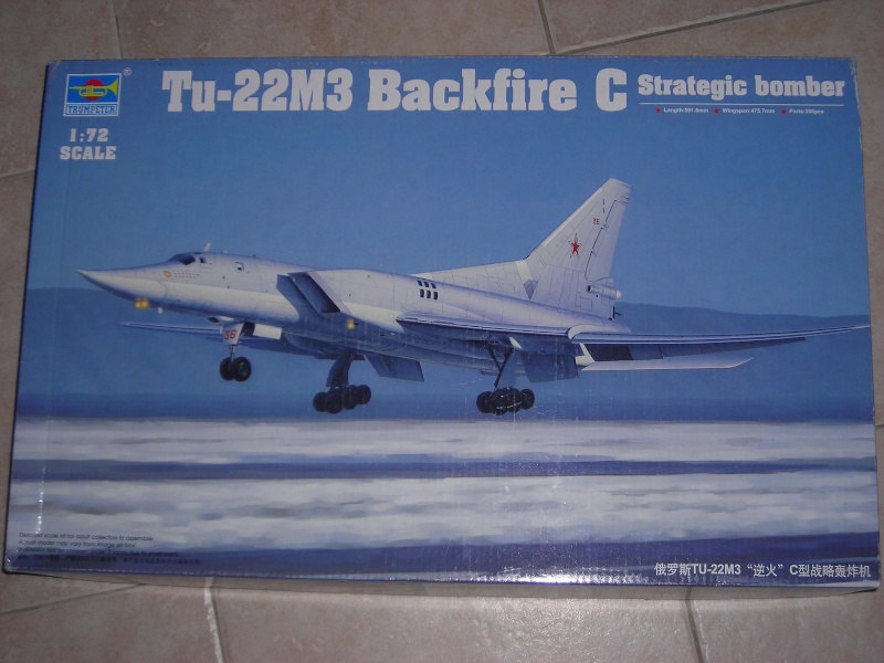TU-22M3 Backfire C (Trumpeter) 2ème série photos Dscn3110