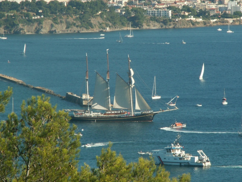 SHIPS REGATTA  TOULON Pict1510