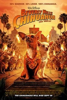 Beverly Hills chihuahua Bevhil10