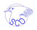 les oiseaux ! de toutes les couleurs ! Logo11
