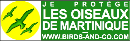 les oiseaux ! de toutes les couleurs ! Sticke10