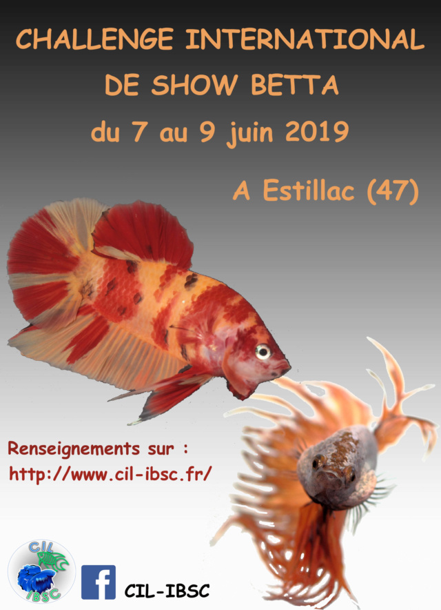 Challenge International 2019 Affich13