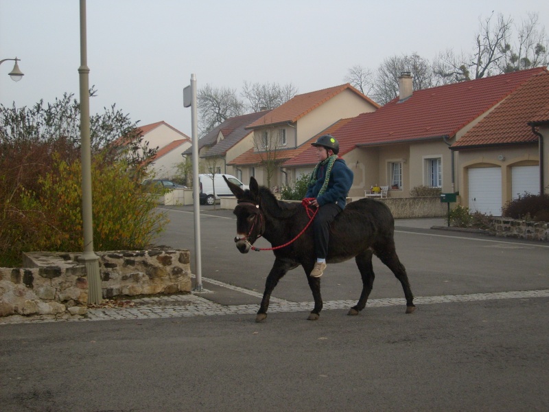 Balade hier matin S6303213