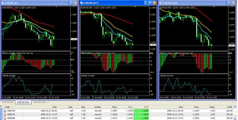 Paraivagas Forex Journal Pv211012