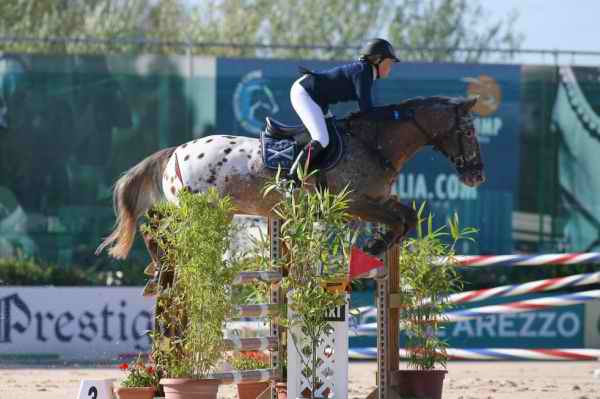 razze da salto ostacoli.... 12076710