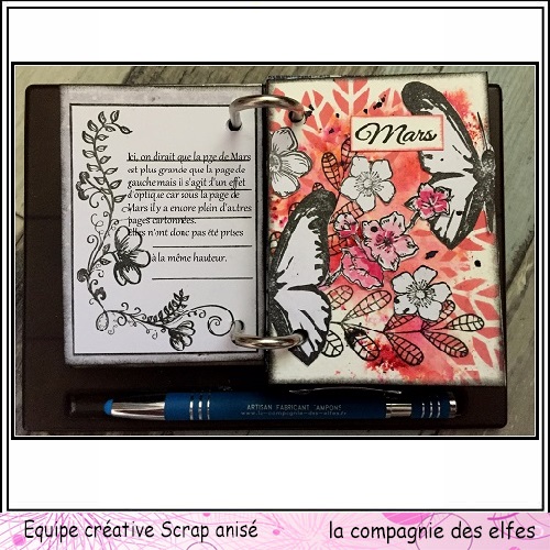 Calendrier des anniversaires par Sophie. Sa_28610