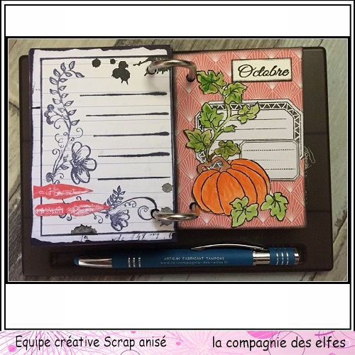 Calendrier des anniversaires par Sophie. Sa_29310