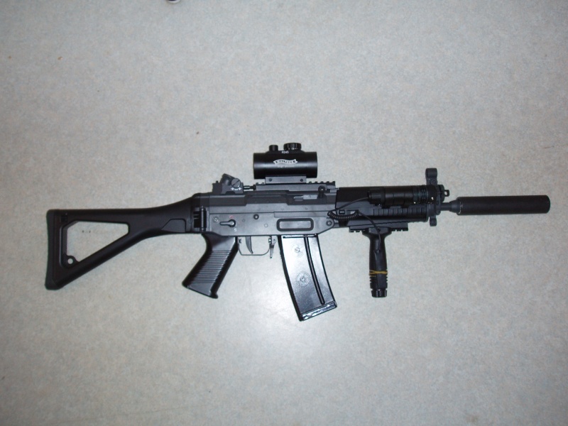 [Jing Gong] SIG 552 commando P1010011