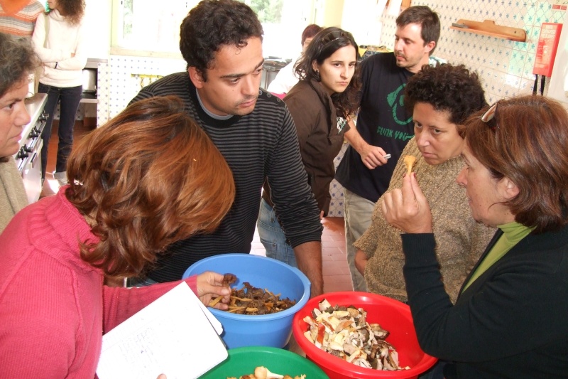 Workshop de Micologia em Odemira! - feedback 2008_112