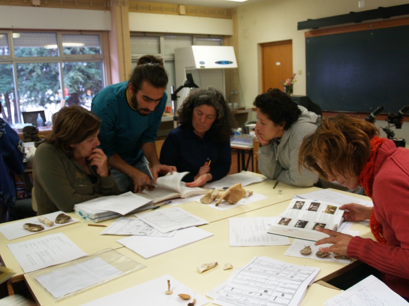 Workshop de Micologia em Odemira! - feedback Pb013112