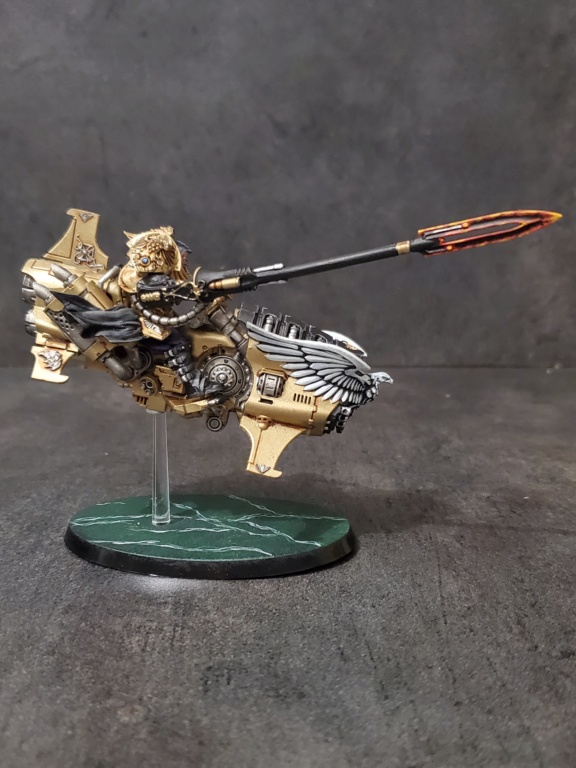 [ FINI ] [Galthan Ironsturm] Shield-captain sur motojet Dawneagle - 178 pts 20220112