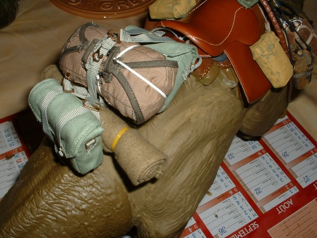 Dewback hasbro pour sandtrooper sideshow Dscf0043