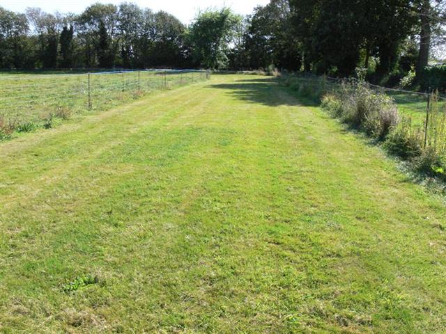 Cynodrome de BAYE Finistère BRETAGNE P0000015