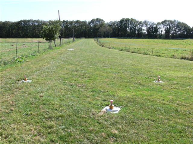 Cynodrome de BAYE Finistère BRETAGNE P0000017