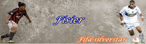 Download Fisier