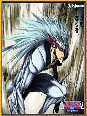 kaiserzRO Bleach's Card List Grimjo12