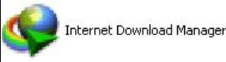       Internet Download Manager     2013   Uuou12