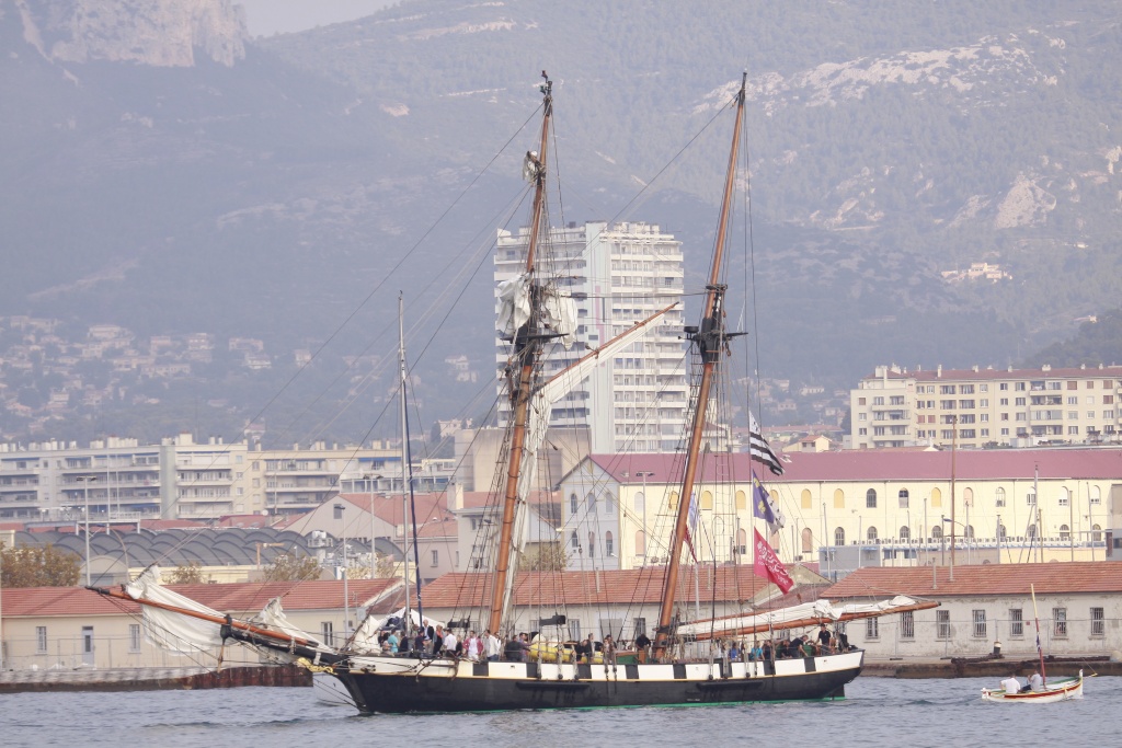 Tall Ship Race - Toulon du 27 au 30 sept 2013 - Page 8 _mg_4811