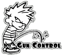 sur la votation et le droit des armes en SUISSE/Suite Gun-co10