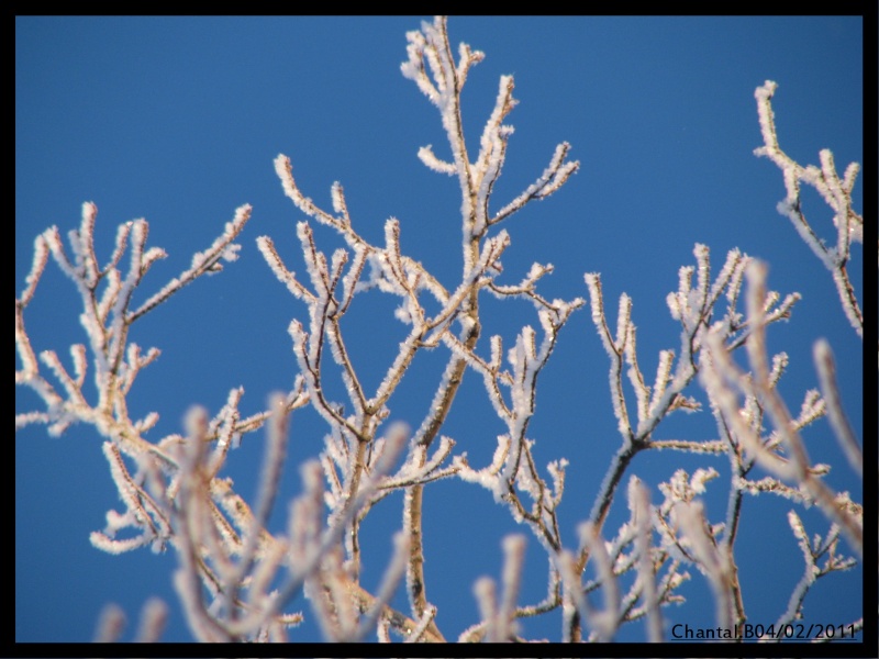 givré de neige 1110