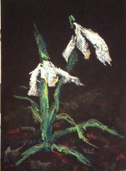 Nature morte, Fleurs Perce-10